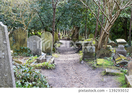 Path through historic Highgate Cemetery in London Path through historic Highgate Cemetery in London 139293032