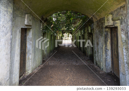 Overgrown stone archway and tombs in Highgate Cemetery London Overgrown stone archway and tombs in Highgate Cemetery London 139293033