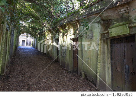 Old stone historic catacombs at Highgate Cemetery, London Old stone historic catacombs at Highgate Cemetery, London 139293055