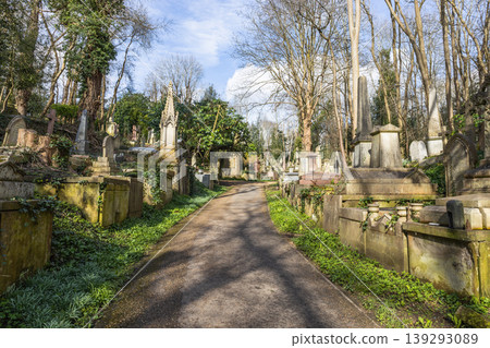 A path through historic Highgate Cemetery in London 139293089