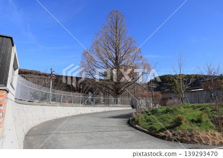 Loading entrance on the Ivy Gakkan side of Kurashiki Ivy Square 139293470
