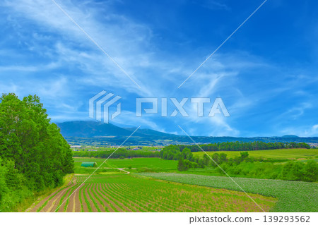 廣闊的鄉村景觀 139293562