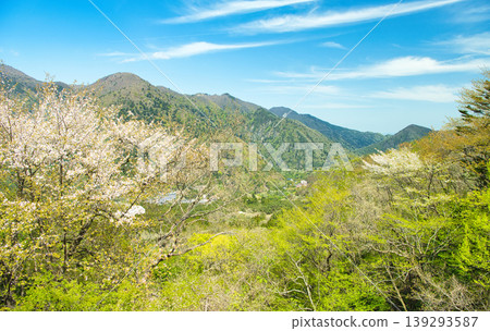 栃木縣那須鹽原市:鹽原溫泉的景色,綠樹成蔭,櫻花盛開。 栃木縣那須鹽原市:鹽原溫泉的景色,綠樹成蔭,櫻花盛開。 139293587