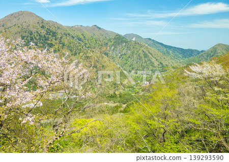 栃木縣那須鹽原市:鹽原溫泉的景色,綠樹成蔭,櫻花盛開。 栃木縣那須鹽原市:鹽原溫泉的景色,綠樹成蔭,櫻花盛開。 139293590