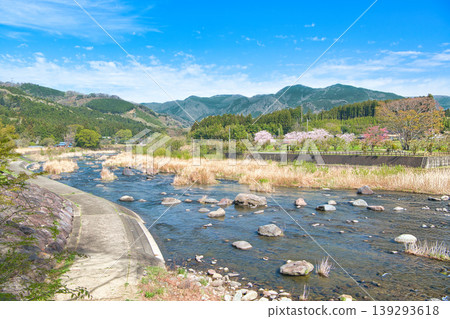 The Hoki River and cherry blossoms flowing along Shiobara Dam Park in Nasushiobara City, Tochigi Prefecture. The Hoki River and cherry blossoms flowing along Shiobara Dam Park in Nasushiobara City, Tochigi Prefecture. 139293618