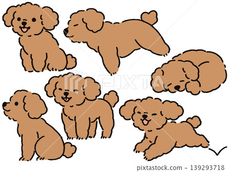 Simple and cute dog illustration set: Toy Poodle pose collection ② Simple and cute dog illustration set: Toy Poodle pose collection ② 139293718