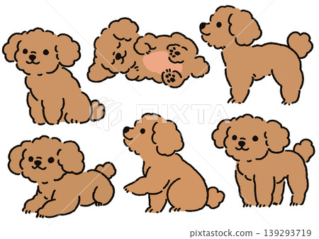 Simple and cute dog illustration set: Toy Poodle pose collection ① 139293719
