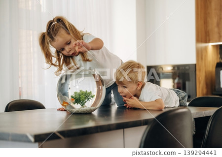 Curious kids are looking and touching the aquarium that is on the table in domestic room Curious kids are looking and touching the aquarium that is on the table in domestic room 139294441
