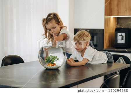 Reaching out with hands. Curious kids are looking and touching the aquarium that is on the table in domestic room Reaching out with hands. Curious kids are looking and touching the aquarium that is on the table in domestic room 139294588