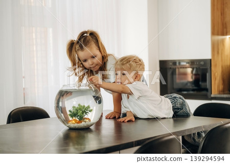 Reaching out with hands. Curious kids are looking and touching the aquarium that is on the table in domestic room Reaching out with hands. Curious kids are looking and touching the aquarium that is on the table in domestic room 139294594