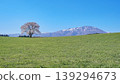 One cherry tree of Koiwai farm and Mt. Iwate 139294673