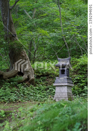 A moss-covered stone lantern stands in the deep forest. 139294691