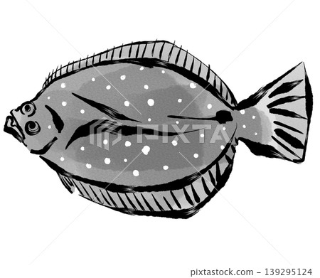 Flounder_Monochrome Flounder_Monochrome 139295124