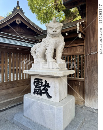 The guardian lion-dogs of Kushida Shrine, the main shrine of Hakata. They stand majestically, protecting the historic shrine buildings. 139295547