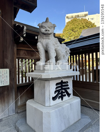 The guardian lion-dogs of Kushida Shrine, the main shrine of Hakata. They stand majestically, protecting the historic shrine buildings. 139295548