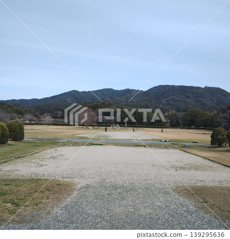 A distant view of a large park in early spring A distant view of a large park in early spring 139295636