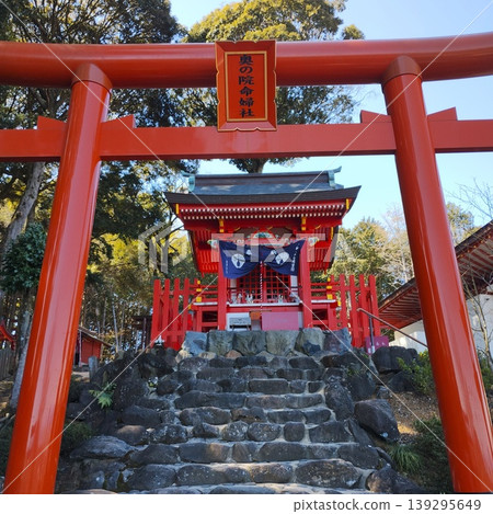 紅色鳥居頂端的神社和石階 紅色鳥居頂端的神社和石階 139295649