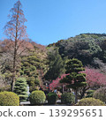 早春的山丘與石階，藍天 139295651