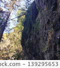 山谷中嶙峋的岩石峭壁、茂密的樹木和滴落的溪水。 139295653