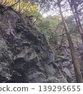 鬱鬱蔥蔥的森林岩壁和樹林 139295655