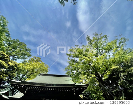 川越冰河神社(小江戶川越) 川越冰河神社(小江戶川越) 139295693