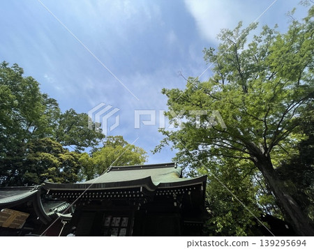 川越冰河神社(小江戶川越) 川越冰河神社(小江戶川越) 139295694
