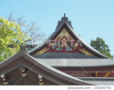 神奈川縣，鶴岡八幡宮，若宮神社，四月 139295742
