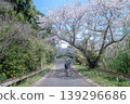 A man and his dog walking along a row of cherry trees: A spring stroll scene and a peaceful moment. 139296686