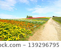  Flower garden 139296795