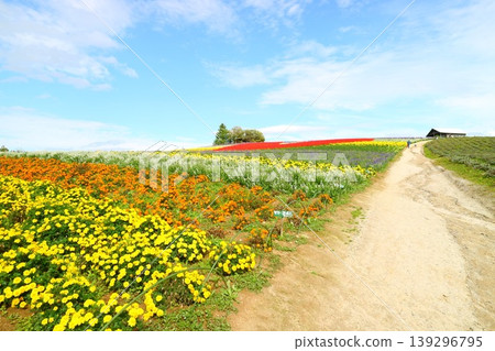 Flower garden Flower garden 139296795