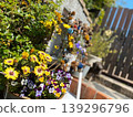 A garden 139296796