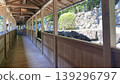 Wooden path 139296797