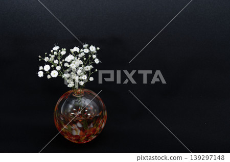 Baby's breath flowers arranged in a warm-colored glass sphere vase against a black background (left). Baby's breath flowers arranged in a warm-colored glass sphere vase against a black background (left). 139297148