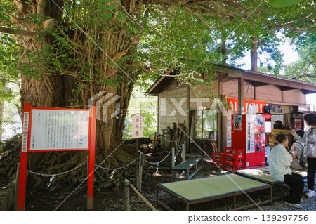 山寺、立石寺、日枝神社、神樹、山寺銀杏樹 139297756