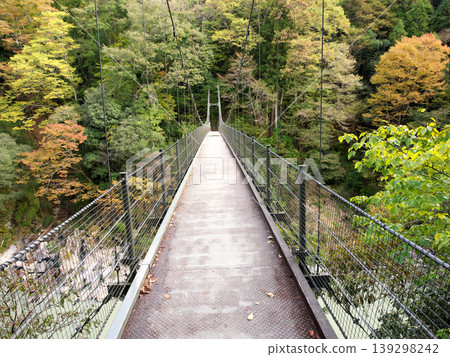 The azalea bridge in Tenryukyo Gorge, ablaze with autumn colors. The azalea bridge in Tenryukyo Gorge, ablaze with autumn colors. 139298242