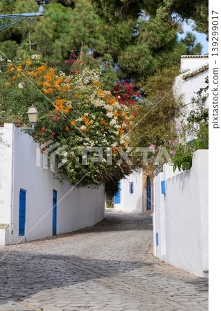 Landscape of Sidi Bou Said, Tunis, Tunisia Landscape of Sidi Bou Said, Tunis, Tunisia 139299017