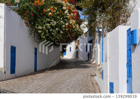 Landscape of Sidi Bou Said, Tunis, Tunisia Landscape of Sidi Bou Said, Tunis, Tunisia 139299019