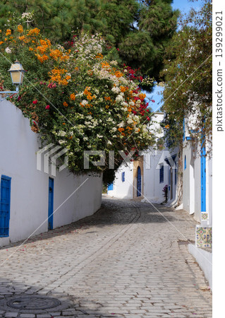 Landscape of Sidi Bou Said, Tunis, Tunisia 139299021