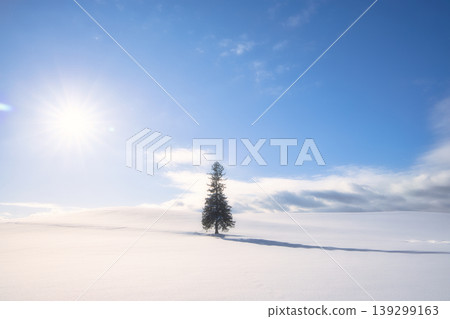 A Christmas tree standing in the snowfields of Biei, Hokkaido. 139299163