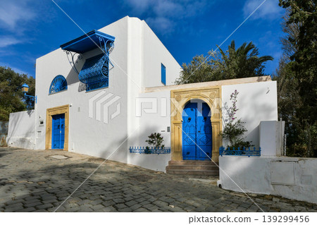 Landscape of Sidi Bou Said, Tunis, Tunisia Landscape of Sidi Bou Said, Tunis, Tunisia 139299456