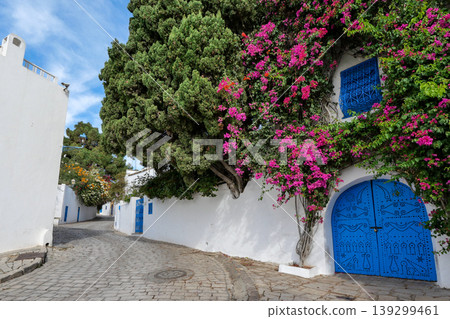 Landscape of Sidi Bou Said, Tunis, Tunisia Landscape of Sidi Bou Said, Tunis, Tunisia 139299461