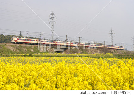 485系列特快列車“雷鳥” 485系列特快列車“雷鳥” 139299504