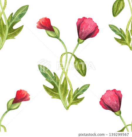 Red poppy buds, watercolor seamless pattern. Hand drawn ornament with bright, fresh plants. Juicy wild flowers for packaging, cosmetics, perfumes, and cards. Red poppy buds, watercolor seamless pattern. Hand drawn ornament with bright, fresh plants. Juicy wild flowers for packaging, cosmetics, perfumes, and cards. 139299567
