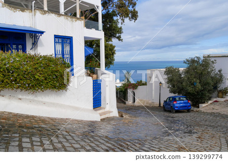 Landscape of Sidi Bou Said, Tunis, Tunisia Landscape of Sidi Bou Said, Tunis, Tunisia 139299774