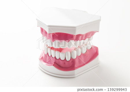 Dental model on a white background Dental model on a white background 139299943