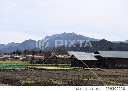 Shichigatake Shichigatake 139300238