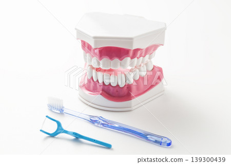 A dental model, toothbrush, and dental floss against a white background. A dental model, toothbrush, and dental floss against a white background. 139300439