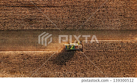 Going by the line in the row. Agricultural harvest with combine machines working in a corn field, aerial view Going by the line in the row. Agricultural harvest with combine machines working in a corn field, aerial view 139300512