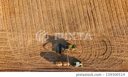 Agricultural harvest with combine machines working in a corn field, aerial view Agricultural harvest with combine machines working in a corn field, aerial view 139300514