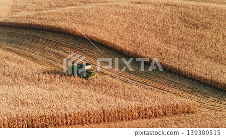 Single one vehicle only. Agricultural harvest with combine machines working in a corn field, aerial view Single one vehicle only. Agricultural harvest with combine machines working in a corn field, aerial view 139300515